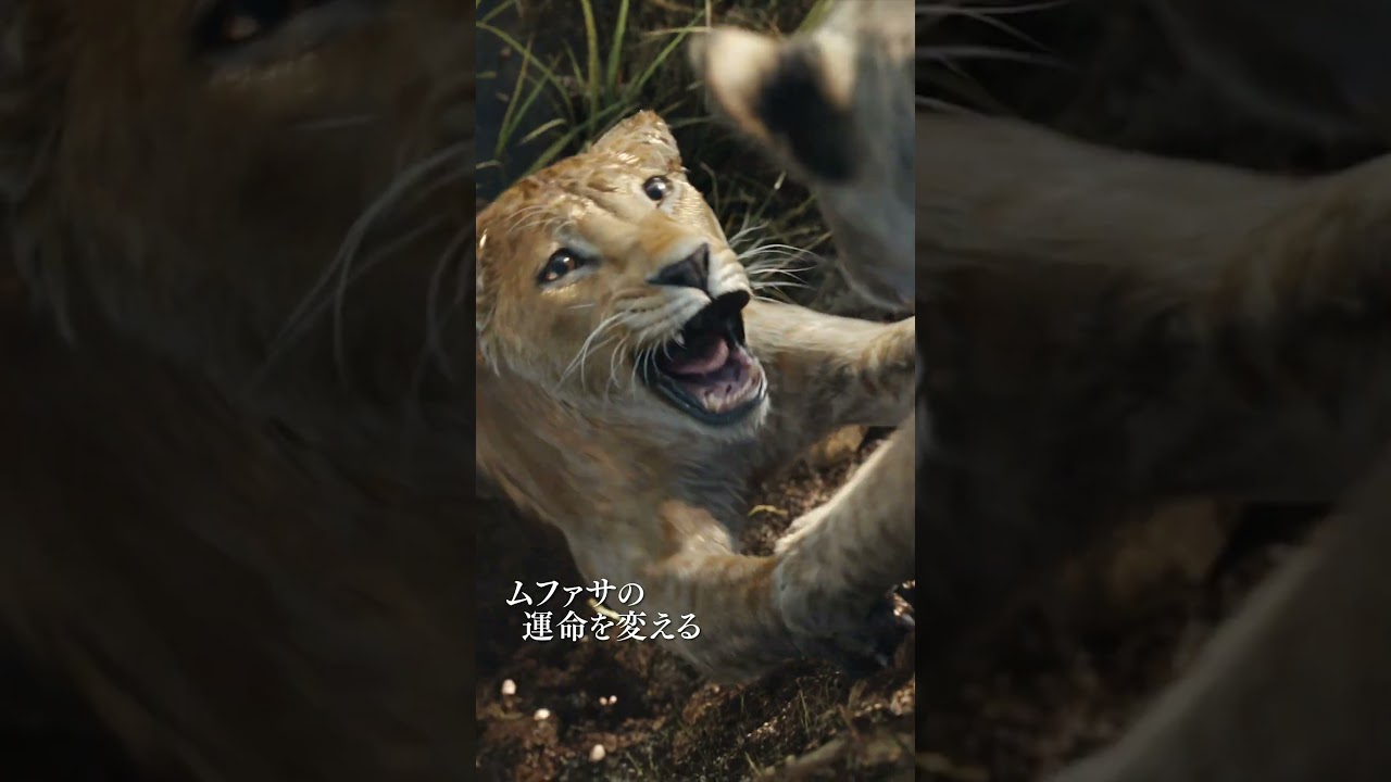 映画のSNSプロモーションを彩るCG